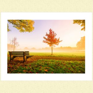MY PARK - Photographer Rajan Adhikari