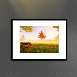 MY PARK - With sample frame | Direct Order : Item #1354
