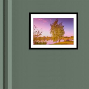 Northala Fields - Tree Photography