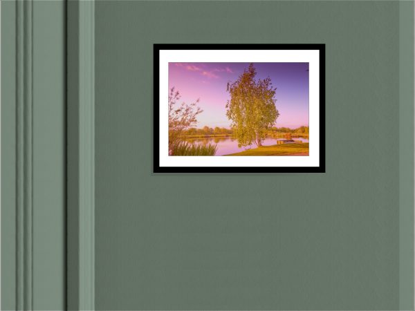 Northala Fields - Tree Photography