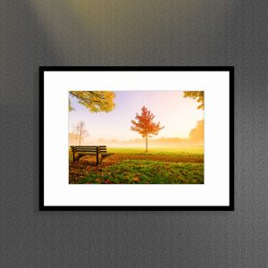 Nepalese Photographer Rajan Adhikari - Our Park - Finished With Framing